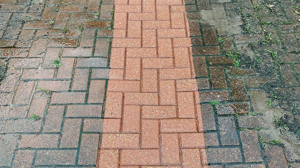 Pressure Washing project